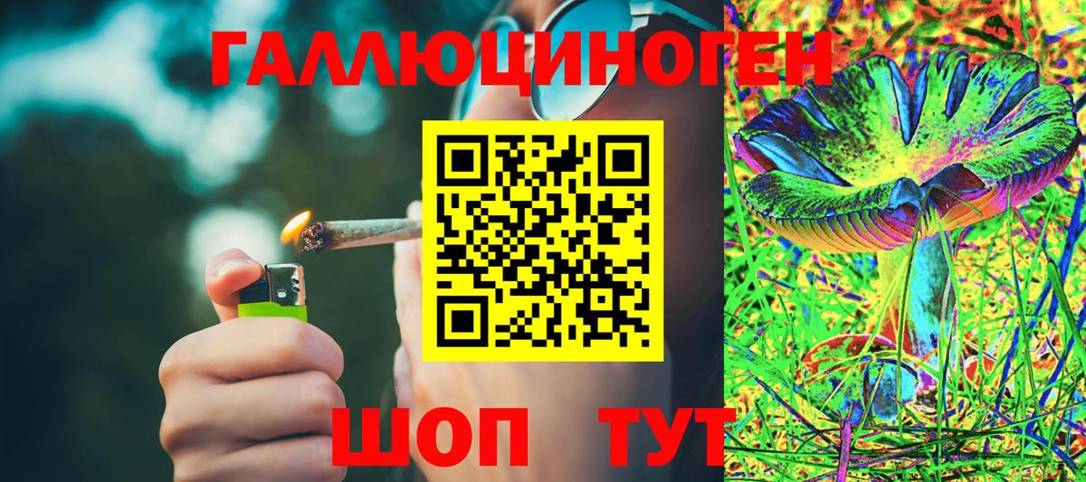 Галлюциногенные грибы Cubensis  Вход с VPN  Щёлково 